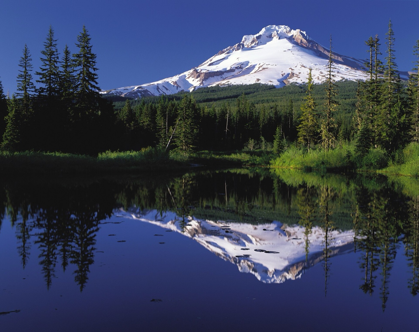 Mount Hood reflected in Mirror Lake, Oregon, on a clear day, with forested shorelines on both sides.